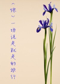(綜同人)一場說走就走的旅行