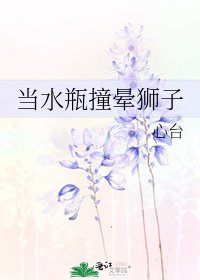當水瓶撞暈獅子